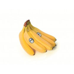 Banane Bonita